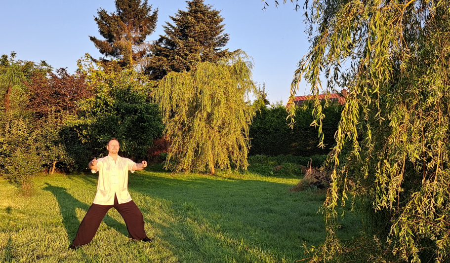 Qi Gong draußen Person übt Qi Gong in einem grünen Garten, umgeben von Bäumen bei Sonnenlicht.