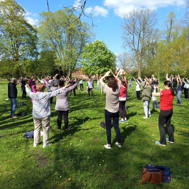 Eine Gruppe von Menschen praktiziert Qi Gong im Freien auf einer grünen Wiese.