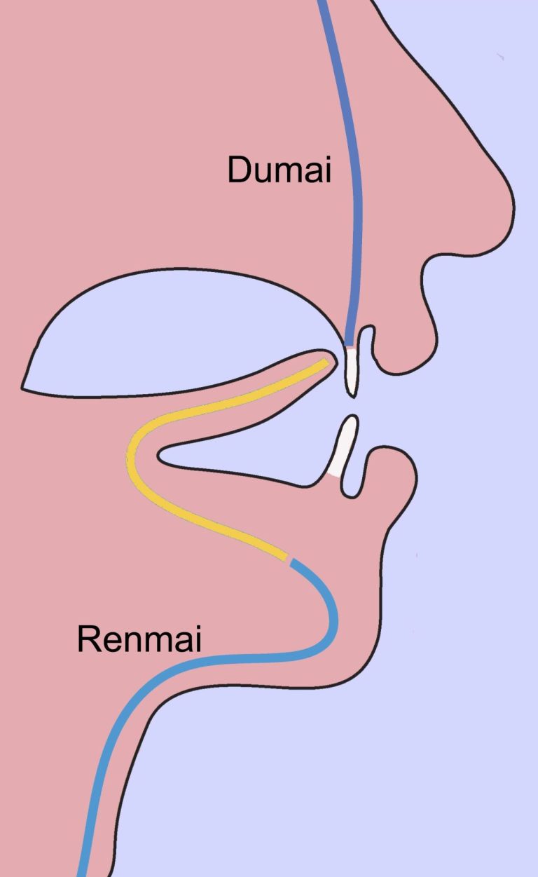 Elsterbrücke Diagramm der Elsterbrücke und den Leitbahnen Dumai und Renmai.
