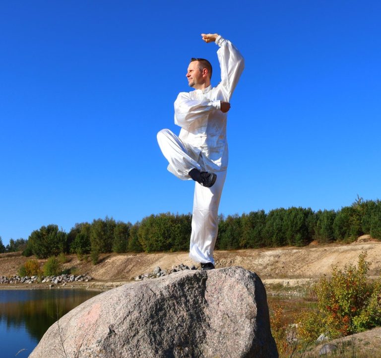 Diagramm, das den Kreislauf von Herz, Lunge, Leber und Nieren zeigt.