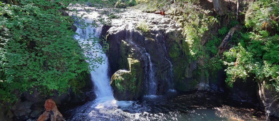 Ein Wasserfall fließt über Felsen, umgeben von grünen Pflanzen und Bäumen.