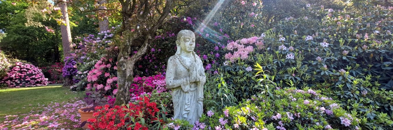 Meditierender Buddha