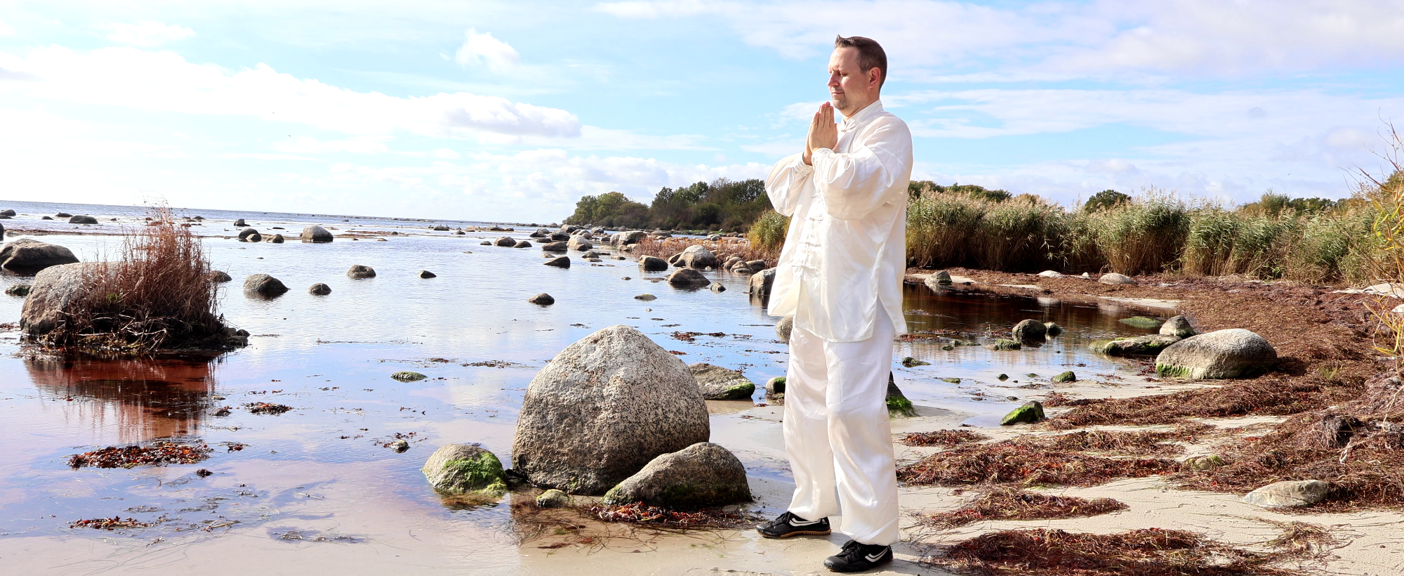 Eine Person in einem roten Anzug übt Tai Chi in einem grünen Garten.